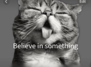 photo_2024-09-05 16.06.21