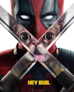 photo_2024-09-05 16.06.24